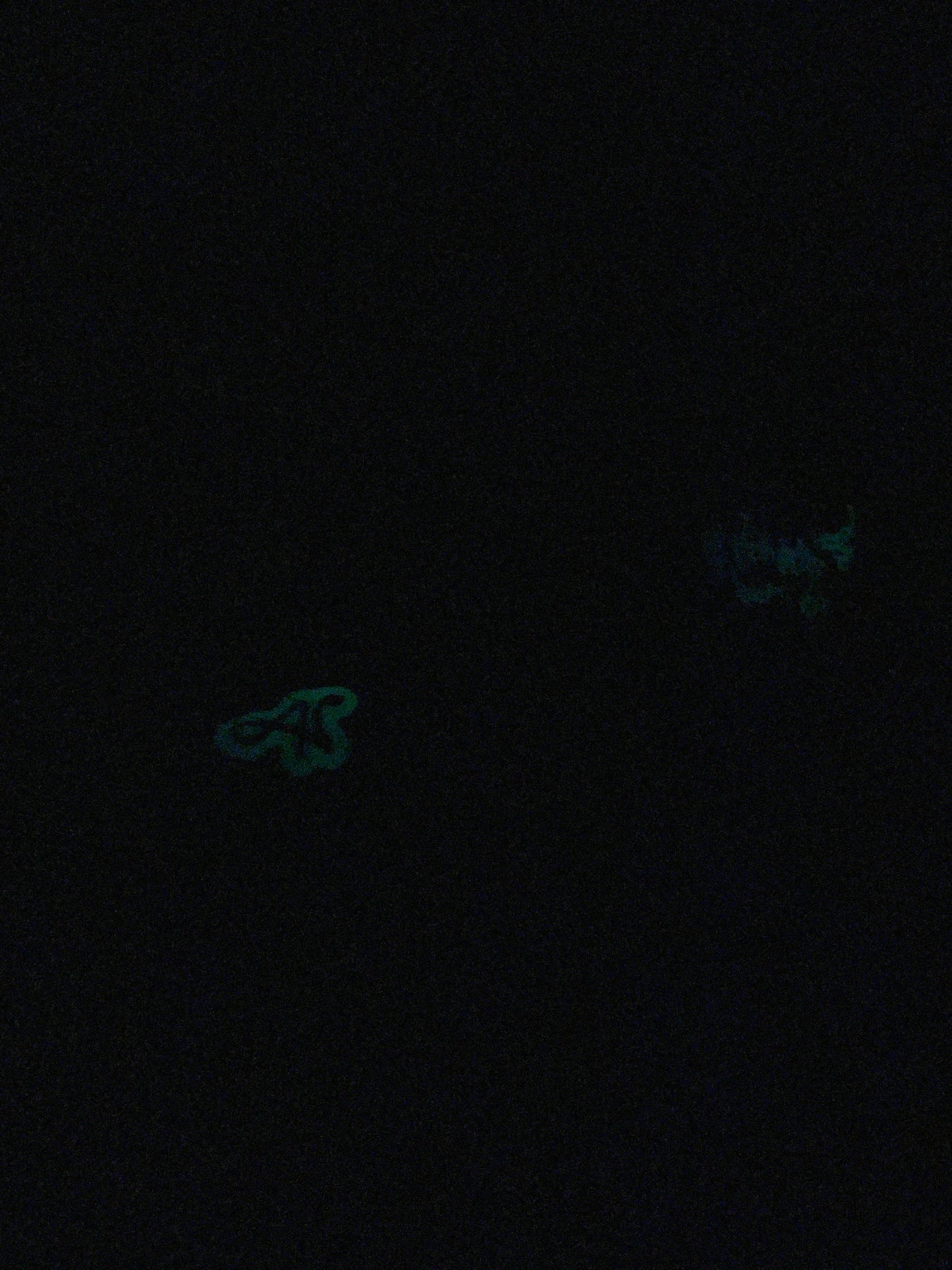 Glow in the Dark Zip Up Hoodie